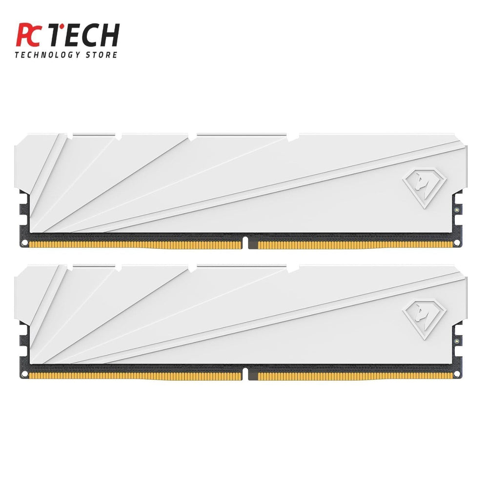 Netac Shadow II 32GB (2×16GB) DDR4 3200MHz Desktop RAM Kit