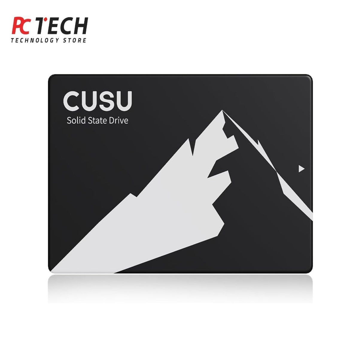 CUSU C300 480GB SATA III 2.5-Inch Internal SSD